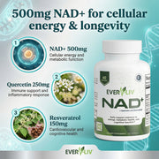 EverLiv NAD+ - EverLiv LLC